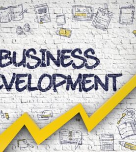 Business development management