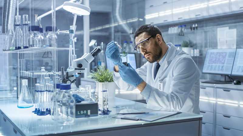 cannabis-industry-professional